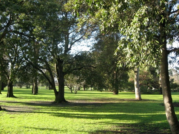 Park in Dublin